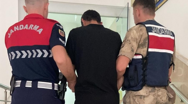 Şanlıurfa'da Firari Hükümlü Yakayı Ele Verdi