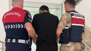 Şanlıurfa'da Firari Hükümlü Yakayı Ele Verdi