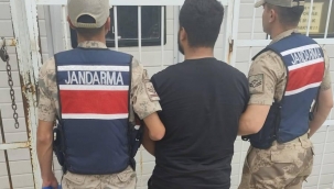 Şanlıurfa'da Jandarmadan Nokta Operasyon