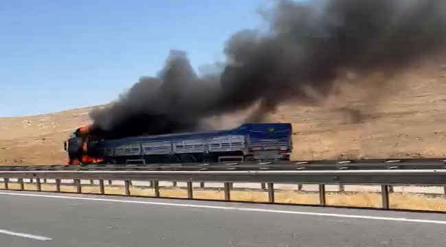 Şanlıurfa'da Korkutan Yangın! Yüklü Tır Kullanılamaz Hale Geldi