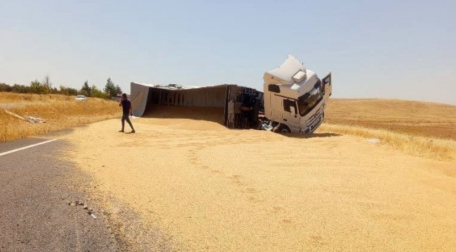 Şanlıurfa-Suruç Yolunda Feci Kaza! Tonlarca Buğday Yola Saçıldı