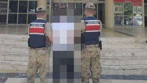 Viranşehir'de Jandarmadan Başarılı Operasyon: Aranan Şahıs Yakalandı