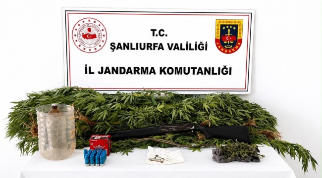 Akçakale'de uyuşturucu operasyonunda 1 şüpheli yakalandı