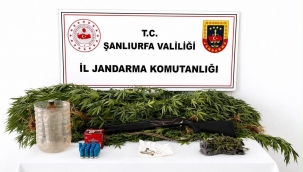Akçakale'de uyuşturucu operasyonunda 1 şüpheli yakalandı