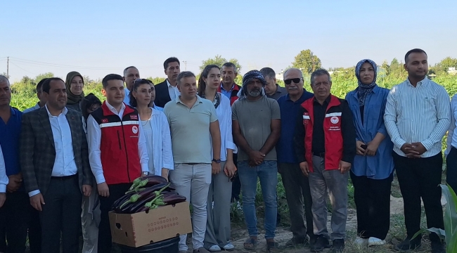 Birecik'in Tescilli Lezzetinde Hasat Zamanı