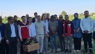 Birecik'in Tescilli Lezzetinde Hasat Zamanı