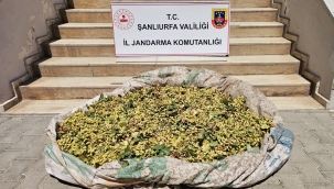 Fıstık Çalan 4 Şüpheli, 380 Kilo Ürünle Yakalandı