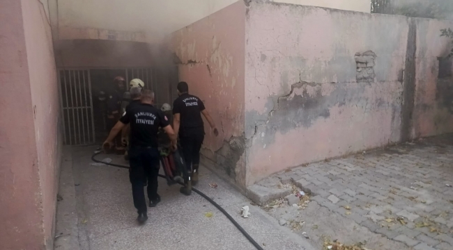 Haliliye'de bodrum katı alevlere teslim oldu: 2 kedi kurtarıldı
