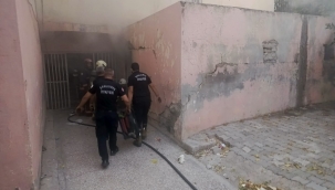 Haliliye'de bodrum katı alevlere teslim oldu: 2 kedi kurtarıldı