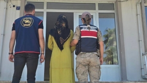 Harran'da Jandarmadan Başarılı Operasyon! Aranan Şahıs Ele Geçirildi