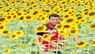 İsa İzgi'den Hasat Öncesi Yoğun Mesai! Ayçiçeği Tarlalarında İnceleme