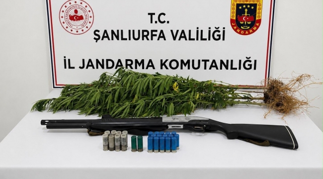 Jandarma Şanlıurfa'da Baskın Düzenledi! Ele Geçirilenler Dikkat Çekti