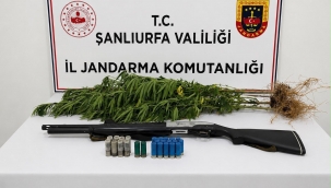 Jandarma Şanlıurfa'da Baskın Düzenledi! Ele Geçirilenler Dikkat Çekti