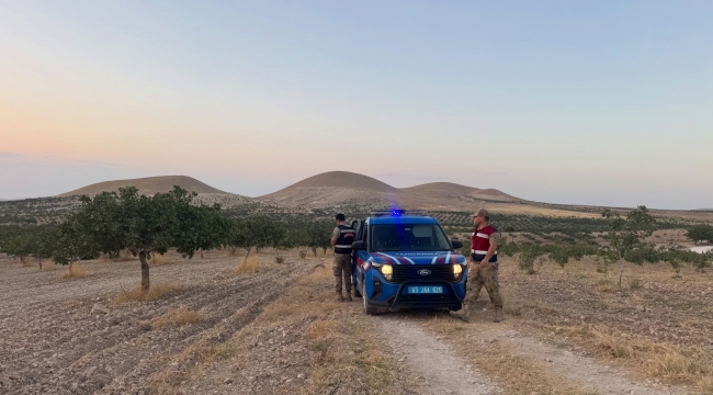 Jandarmadan Fıstık Sezonunda Gece Gündüz Güvenlik Mesaisi