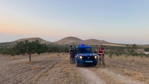 Jandarmadan Fıstık Sezonunda Gece Gündüz Güvenlik Mesaisi