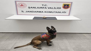 Şanlıurfa'da Bonzai Operasyonu! 1 Şüpheli Cezaevine Gönderildi