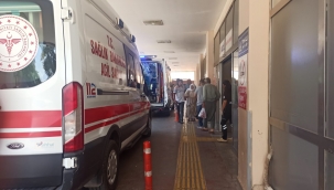 Serinlemek isterken ölümden döndü! Halfeti'de elektrik şoku