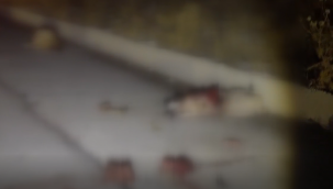 Siverek'te Geceyi Sarsan Kaza! 18 Koyun ve 1 Köpek Telef Oldu