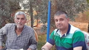 100 Yıllık Çınar Hayata Veda Etti! Şanlıurfa'da Büyük Üzüntü