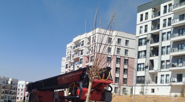Altıncı Katta Bir Anda Başladı! Şanlıurfa'da TOKİ Paniği