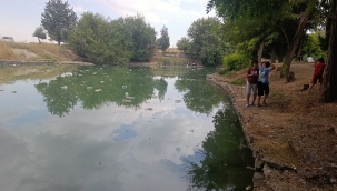 Bir Dönemin Gözde Mesire Alanı Şimdi Çöplerle Anılıyor