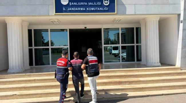 Şanlıurfa'da Aranan 2 Hükümlü Jandarma Operasyonuyla Yakalandı