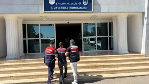 Şanlıurfa'da Aranan 2 Hükümlü Jandarma Operasyonuyla Yakalandı