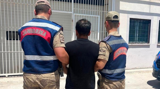 Şanlıurfa'da Aranan Hükümlü Jandarmadan Kaçamadı
