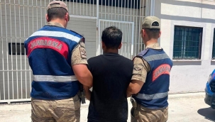 Şanlıurfa'da Aranan Hükümlü Jandarmadan Kaçamadı