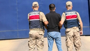 Şanlıurfa'da aranan şahıslara darbe! İki ilçede peş peşe yakalandılar
