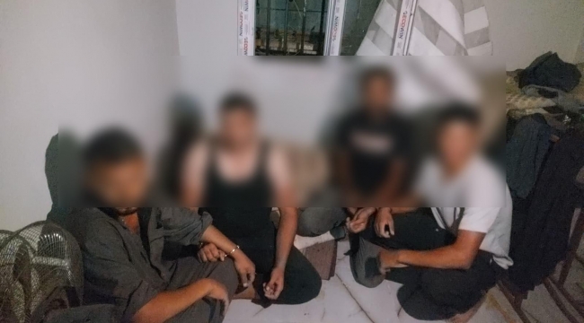 Şanlıurfa'da haftalar süren çalışma! 143 düzensiz göçmen hakkında işlem