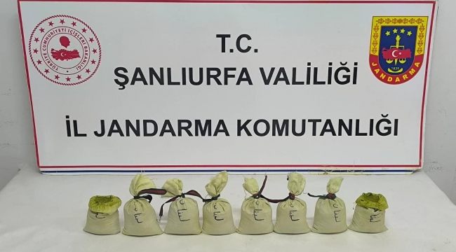 Şanlıurfa'da Jandarma Operasyonu! 3 Şüpheli Mercek Altında