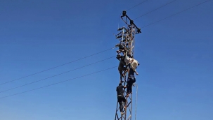 Şanlıurfa'da korkutan olay! Vatandaşlar yardımına koştu