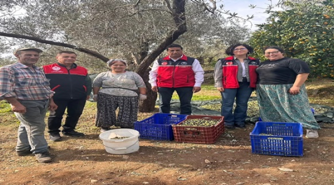 Bir Ayda Edremit'i Karış Karış Gezdi, Üreticileri Dinledi