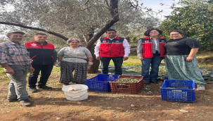 Bir Ayda Edremit'i Karış Karış Gezdi, Üreticileri Dinledi