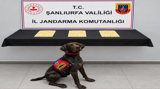 Eyyübiye'de İki Adrese Operasyon: Captagon Haplar Ele Geçirildi