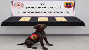 Eyyübiye'de İki Adrese Operasyon: Captagon Haplar Ele Geçirildi