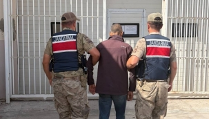 Eyyübiye ve Karaköprü'de Jandarma Operasyonu: İki Firari Yakalandı