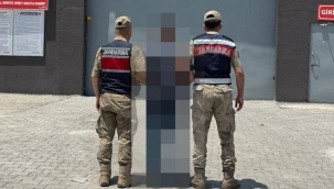 Karaköprü ve Ceylanpınar'da aranan şahıslar yakalandı
