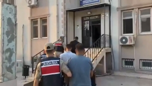 Şanlıurfa'da Fıstık Hırsızlığı Kameralara Takıldı! 4 Kişi Tutuklandı