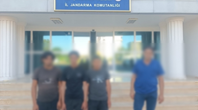 Şanlıurfa'da göçmen kaçakçılığı operasyonu: 9 şüpheliye işlem