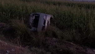 Şanlıurfa'da otomobil tarlaya devrildi: 3 yaralı