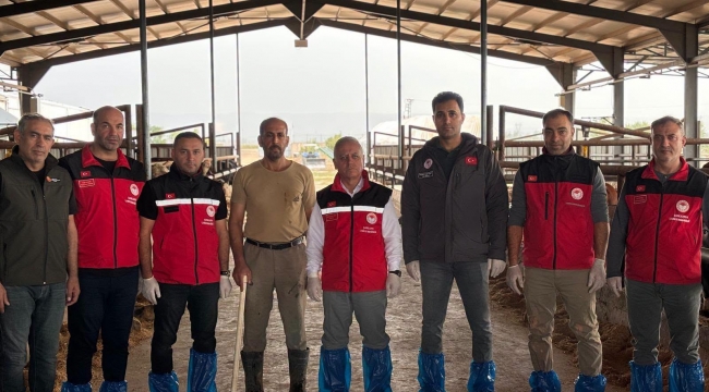 Şanlıurfa'da sonbahar şap aşılama çalışmaları yerinde incelendi