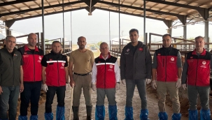 Şanlıurfa'da sonbahar şap aşılama çalışmaları yerinde incelendi