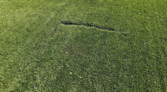 Viranşehir'in tek stadı tehlikede! Amatör takımlar ne yapacak?