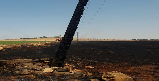 Anız Yangını 16 Köyü Elektriksiz Bıraktı