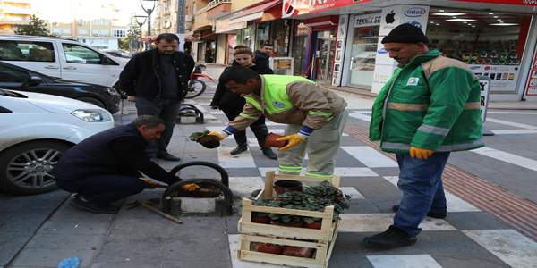 Haliliye Belediyesi, Bahçelievler Bölgesini Çiçeklerle Donattı