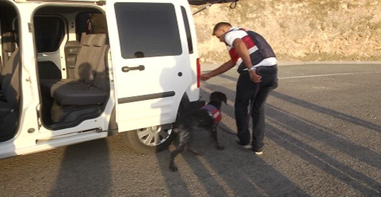 Şanlıurfa'da Jandarma Yoğun Güvenlik Önlemi Aldı