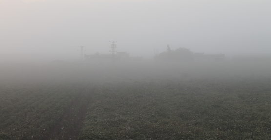 Şanlıurfa'da sisli hava etkili oldu‏