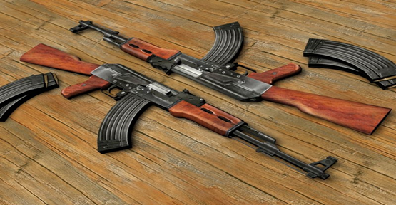Sınırda silah kaçakçılığında 2 kardeş tutuklandı